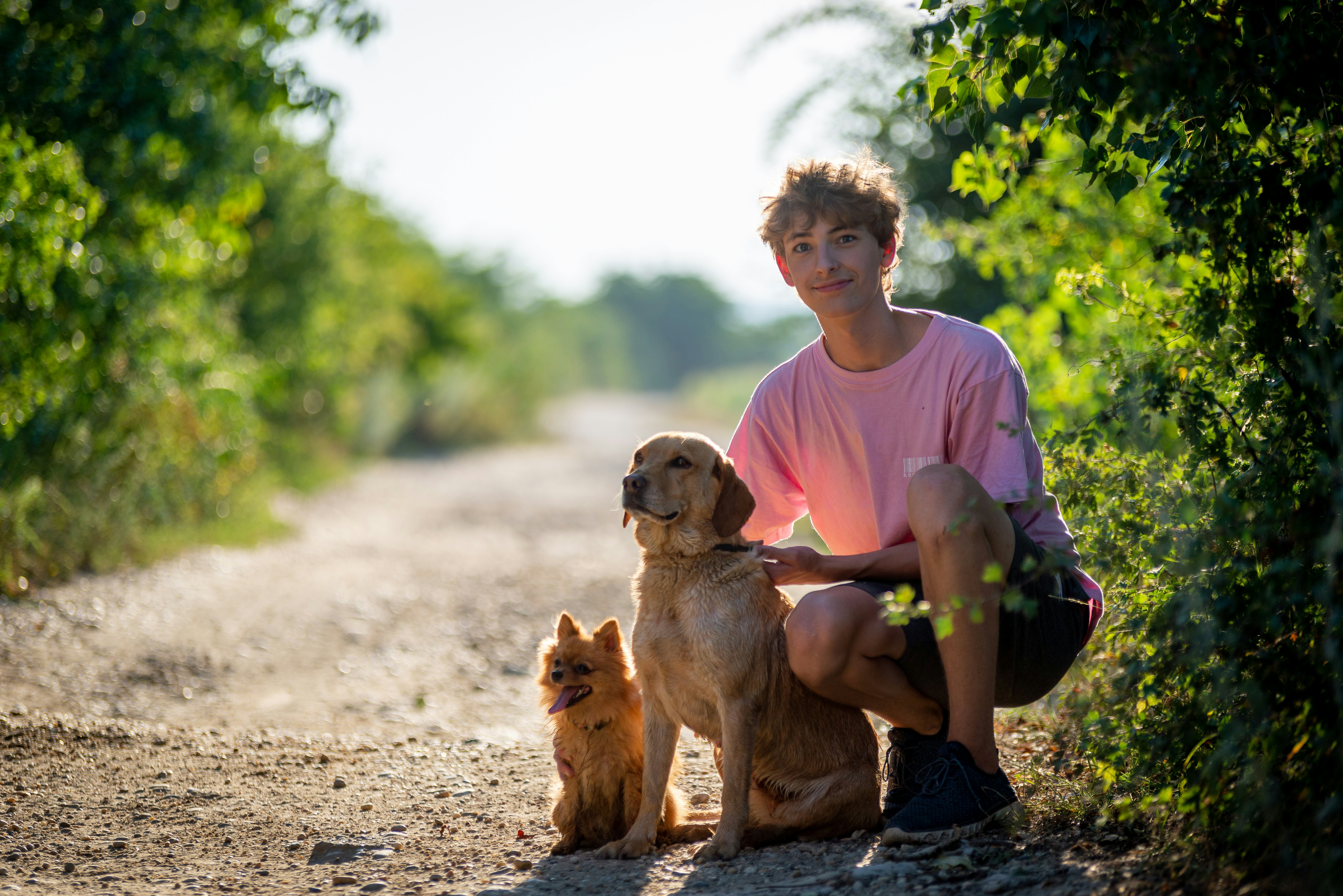 夜间推荐逻辑升级配图
